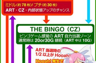 cz-the-bingo-2