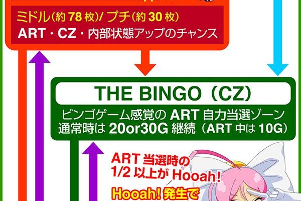 cz-the-bingo-2